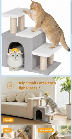 Cat tree and step new $35