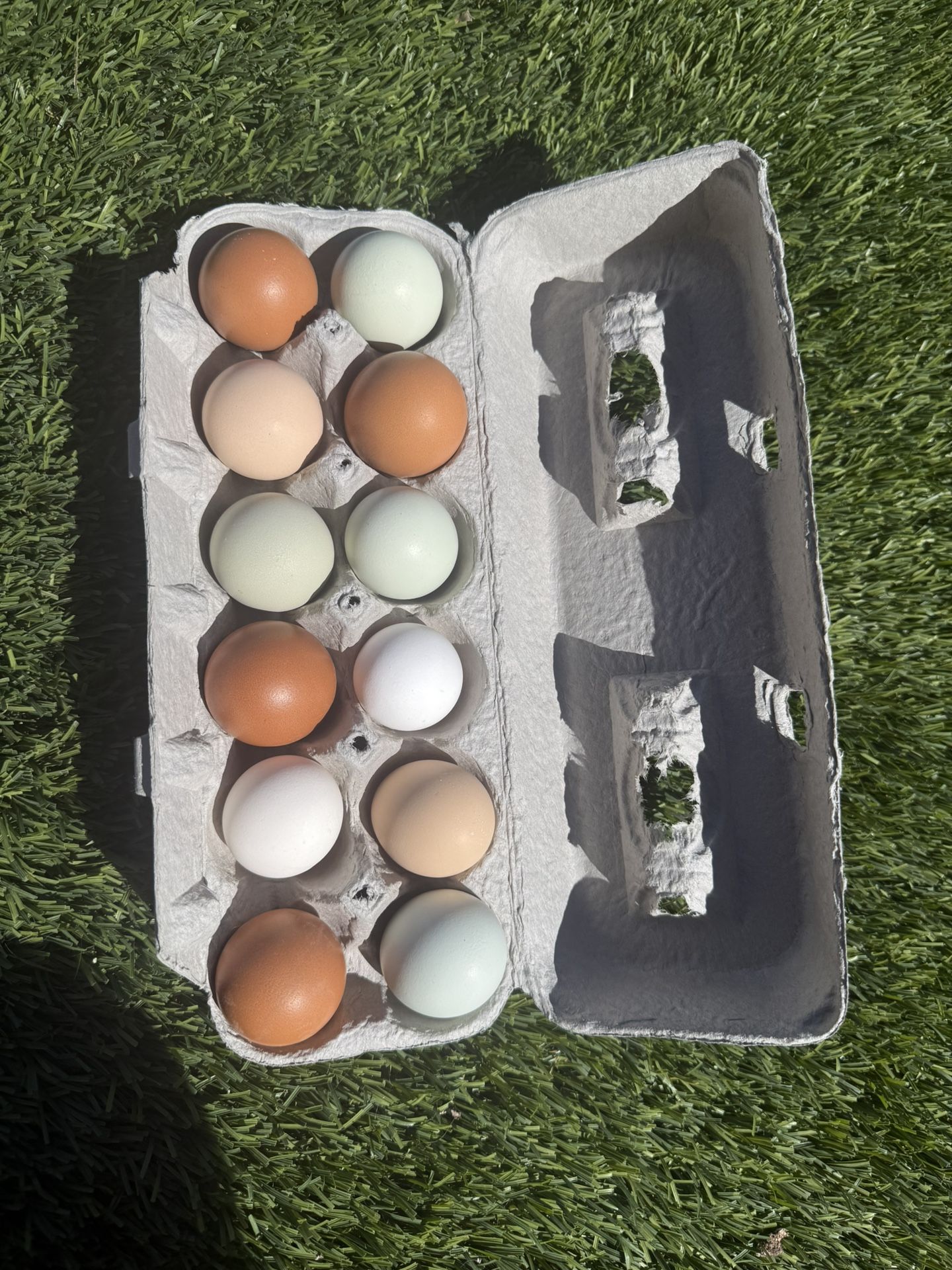 Eggs From Organic NO CORN NO SOY Fed Free Range Pastured Chickens