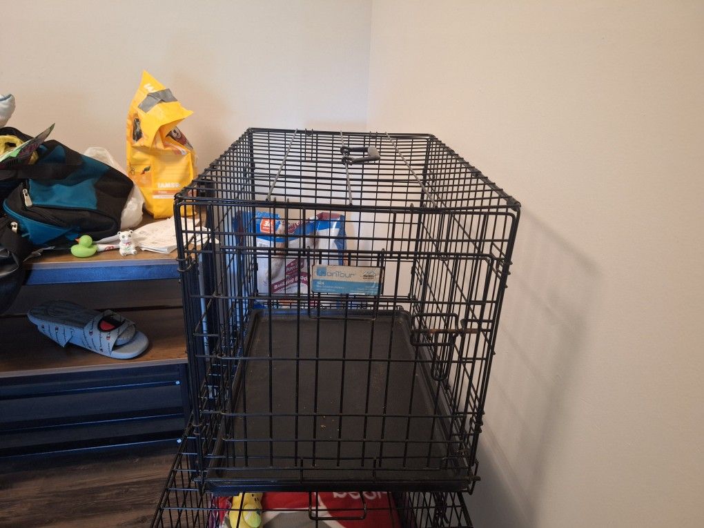 Dog Kennel