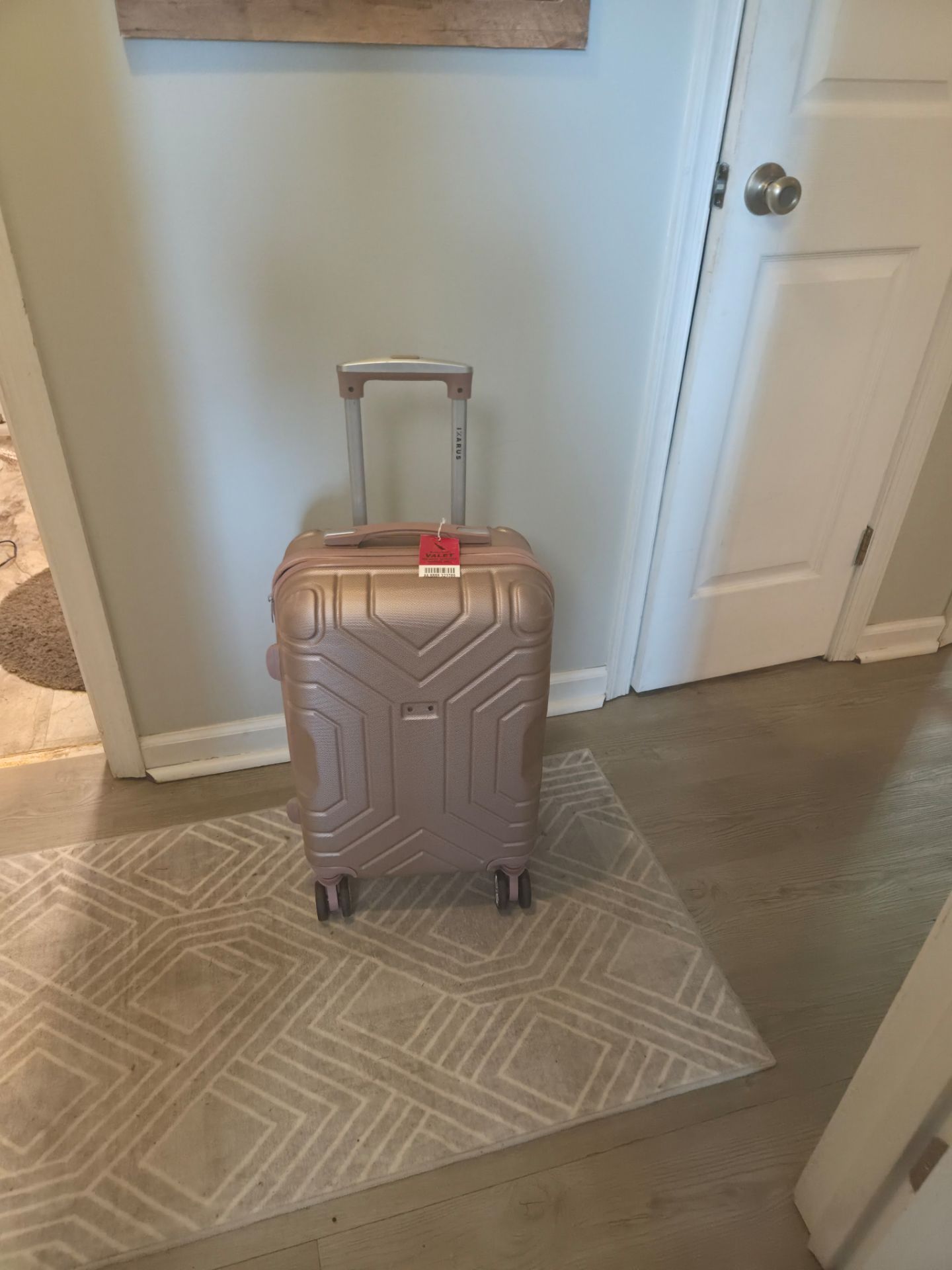 Pink suitcase