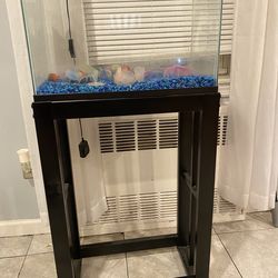 Fish Tank 10 Gallon
