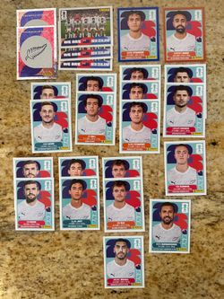 FIFA World Cup Panini Stickers