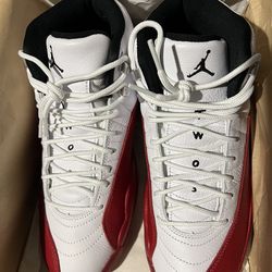 Air Jordan 12 Size 7.5