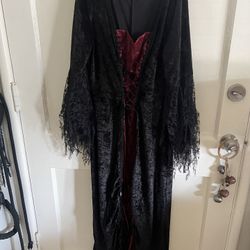 Gorgeous Long Crushed Velvet Witch / Renaissance Dress Halloween Costume