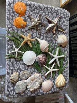 Seashell and starfish decor