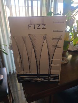 Fizz Champagne Flutes Set of 4