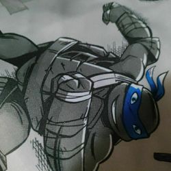 NEW -NINJA TURTLES SHEETS  W 2- MATCHING PILLOW CASES PICK UP ONLY