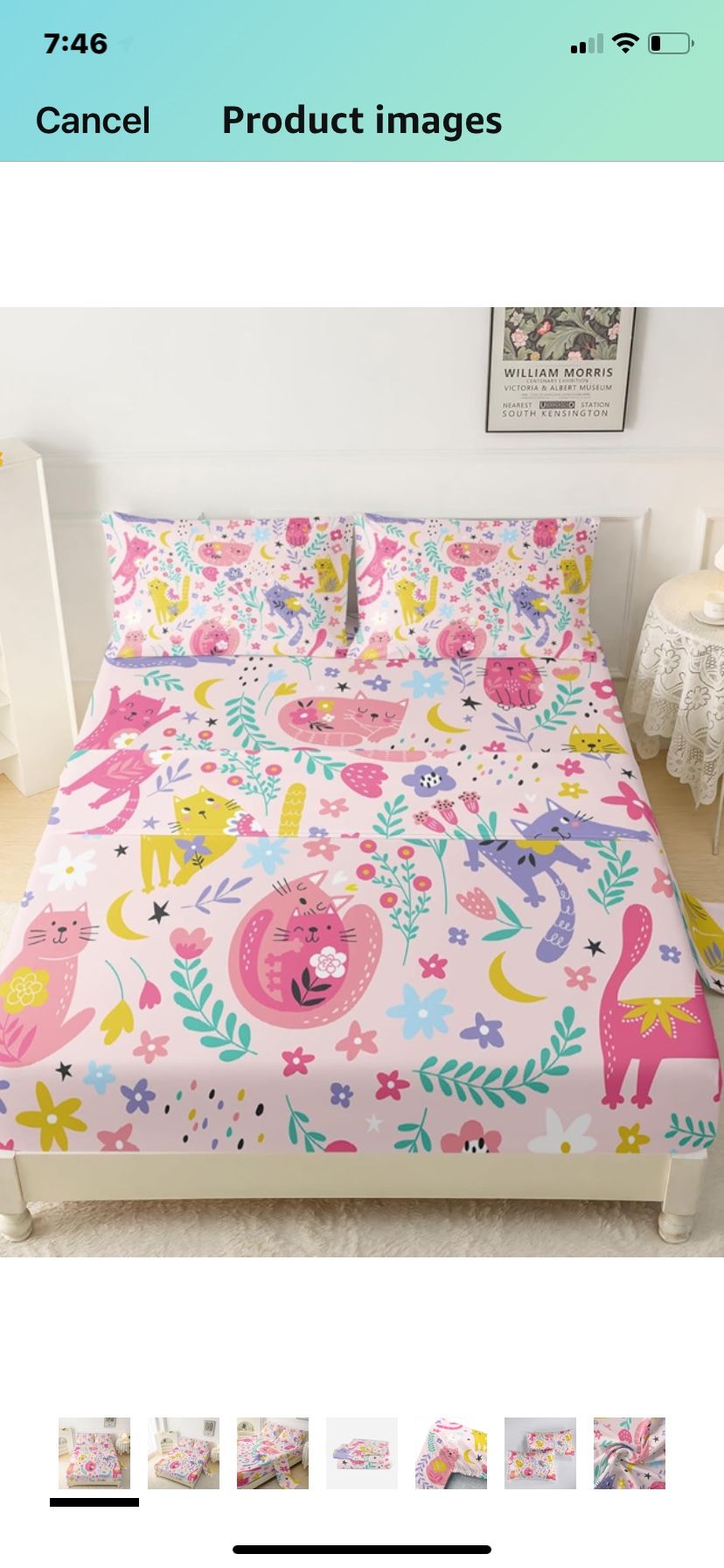 Twin Size Kitty Bed set