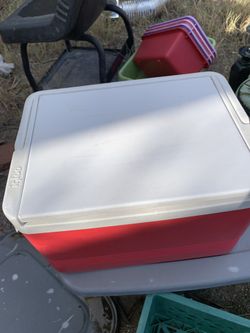 Igloo ice chests