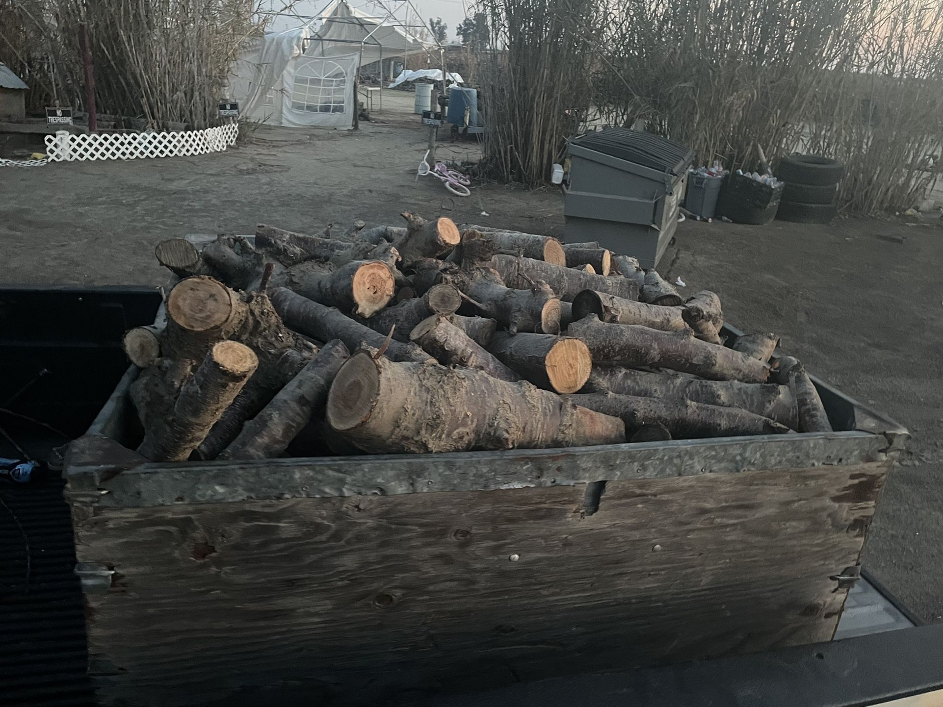 Firewood