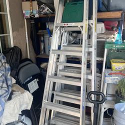 6”Ladder 