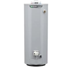 A O Smith Signature 100 30-Gallon Tall 6-year Warranty 35500 -BTU Natural/Gas Propone Water Heater 