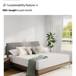 2 Full Size Mattresses 