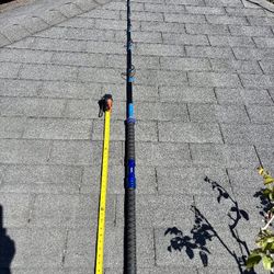 Custom Calstar T690J  9 Foot Spinning Rod and Daiwa Saltist 6500 Reel Combo