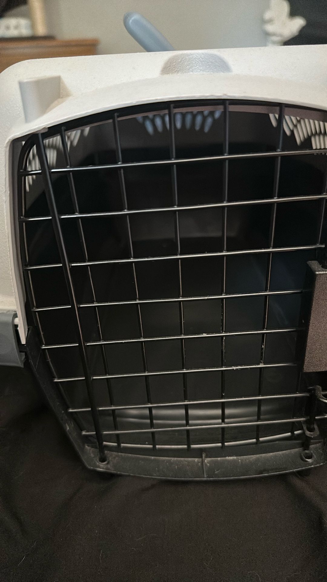 Small Pet Carrier