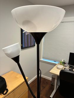Black Floor Lamp with Inline Switch