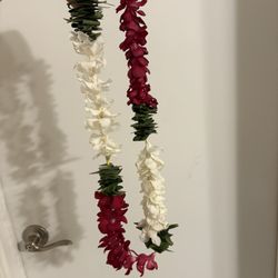 Graduation Lei