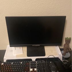 Game/computer Monitor