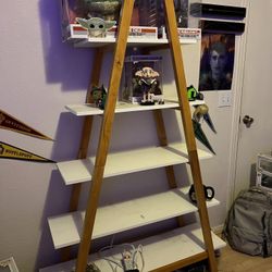 Ladder Bookcase, Display, Storage Rack