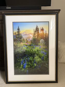 Framed Art of Mount Rainier