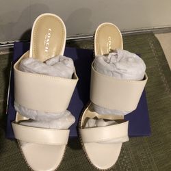 Shoes Cream 