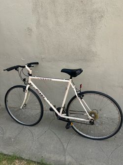 Giant adult bike with brakes