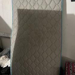 Twin Mattress Only 