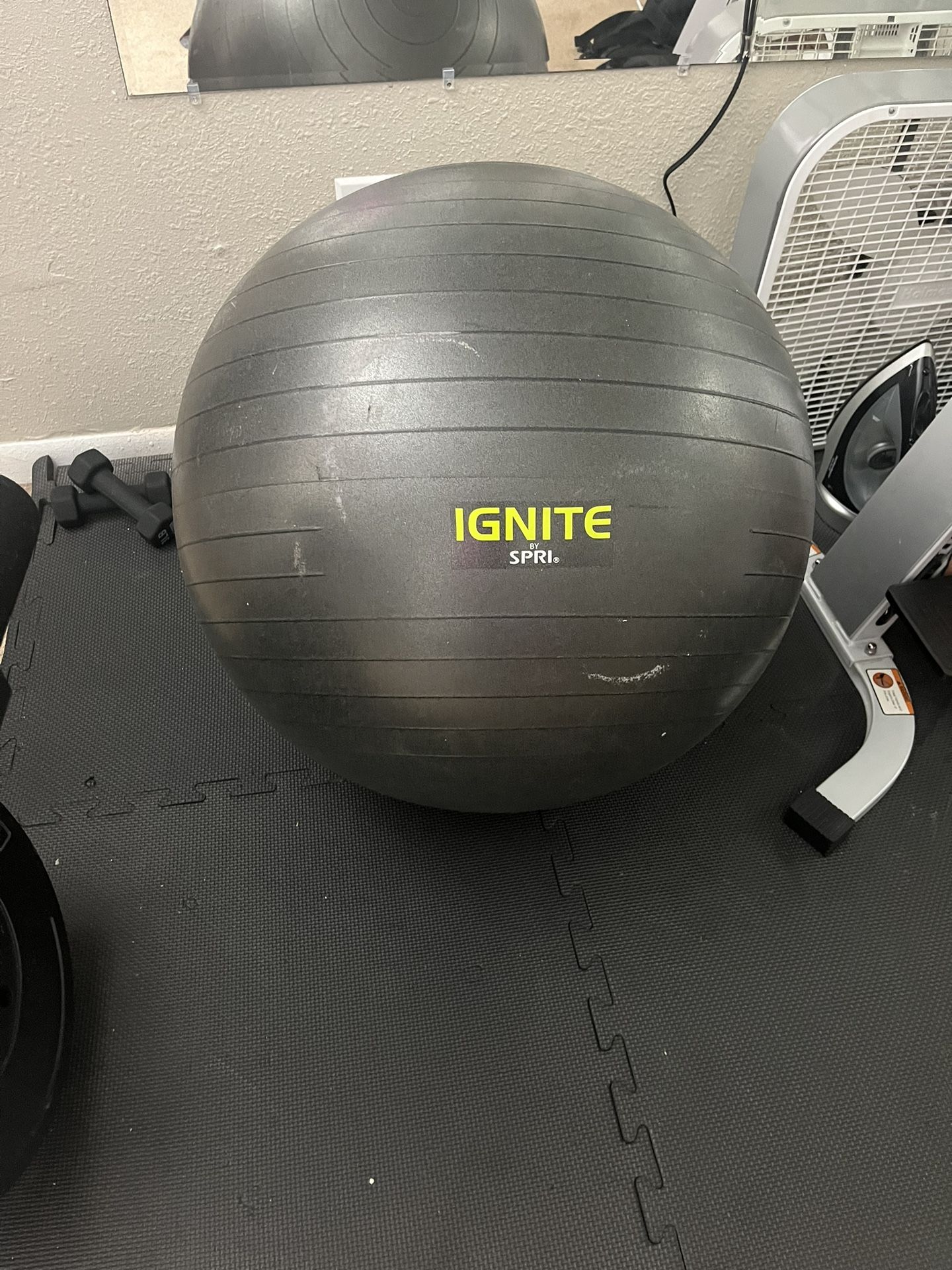Ignite SPRI Stable Ball 65 Cm (Used)