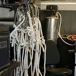 Rope Nose/ Mule Tape Halters 