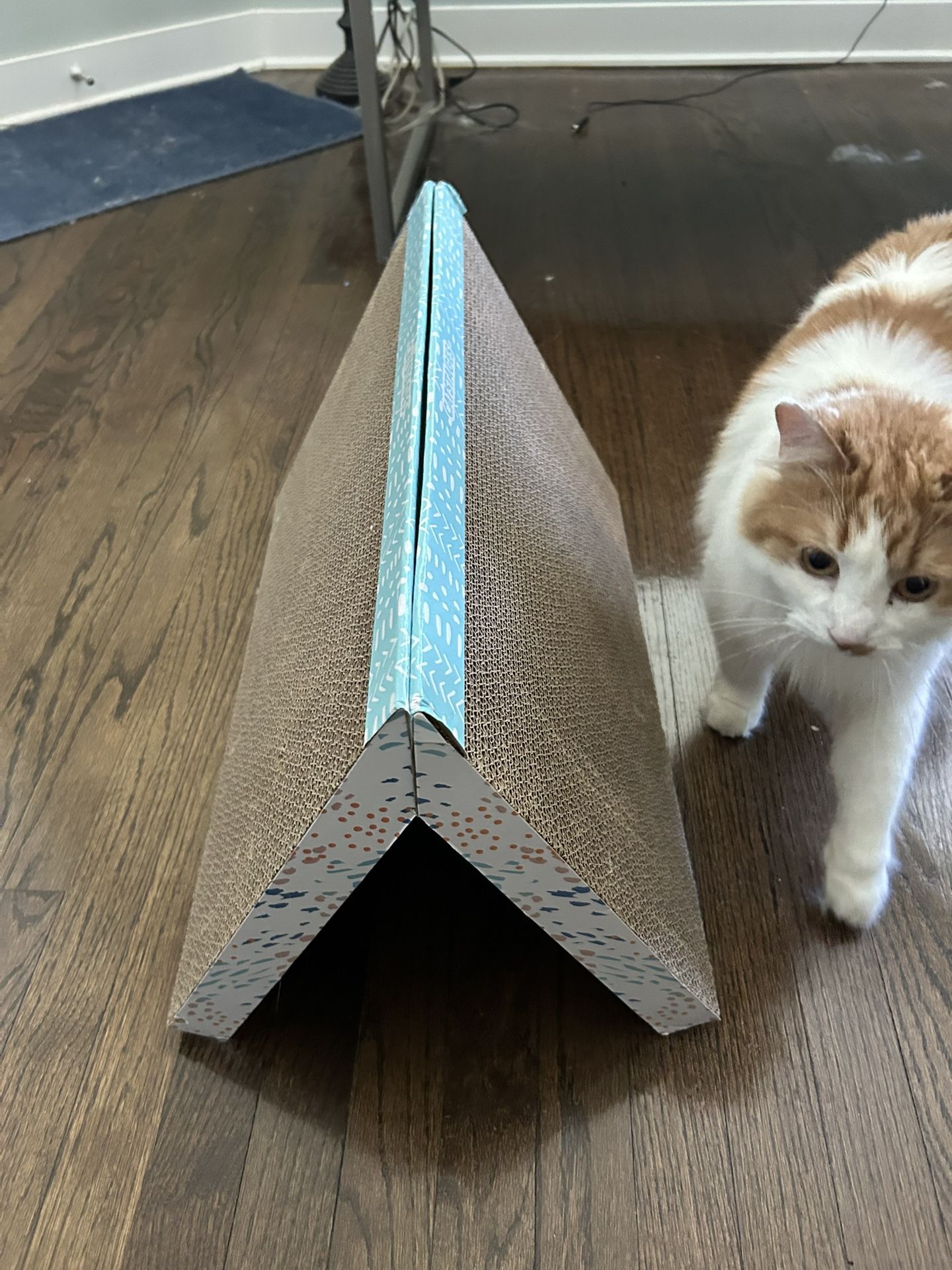 Cardboard Cat Scratcher