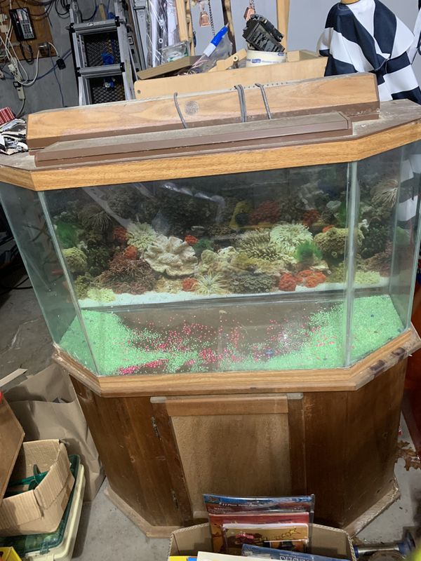 Flat back half hexagon fish tank for Sale in NY, US OfferUp