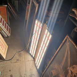 Phantom PHENO 440 LED 100-277V 440W MP Spectrum