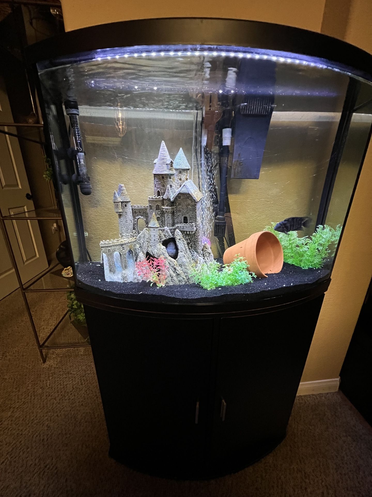 Fish Tank With Stand 