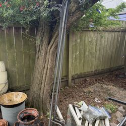 Shepards Hooks For Hanging Baskets