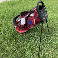 Brand NWT Buccaneers Golf Bag