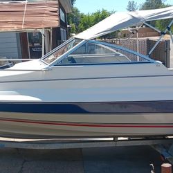 Christmas Special..1992 Bayliner Cuddy classic