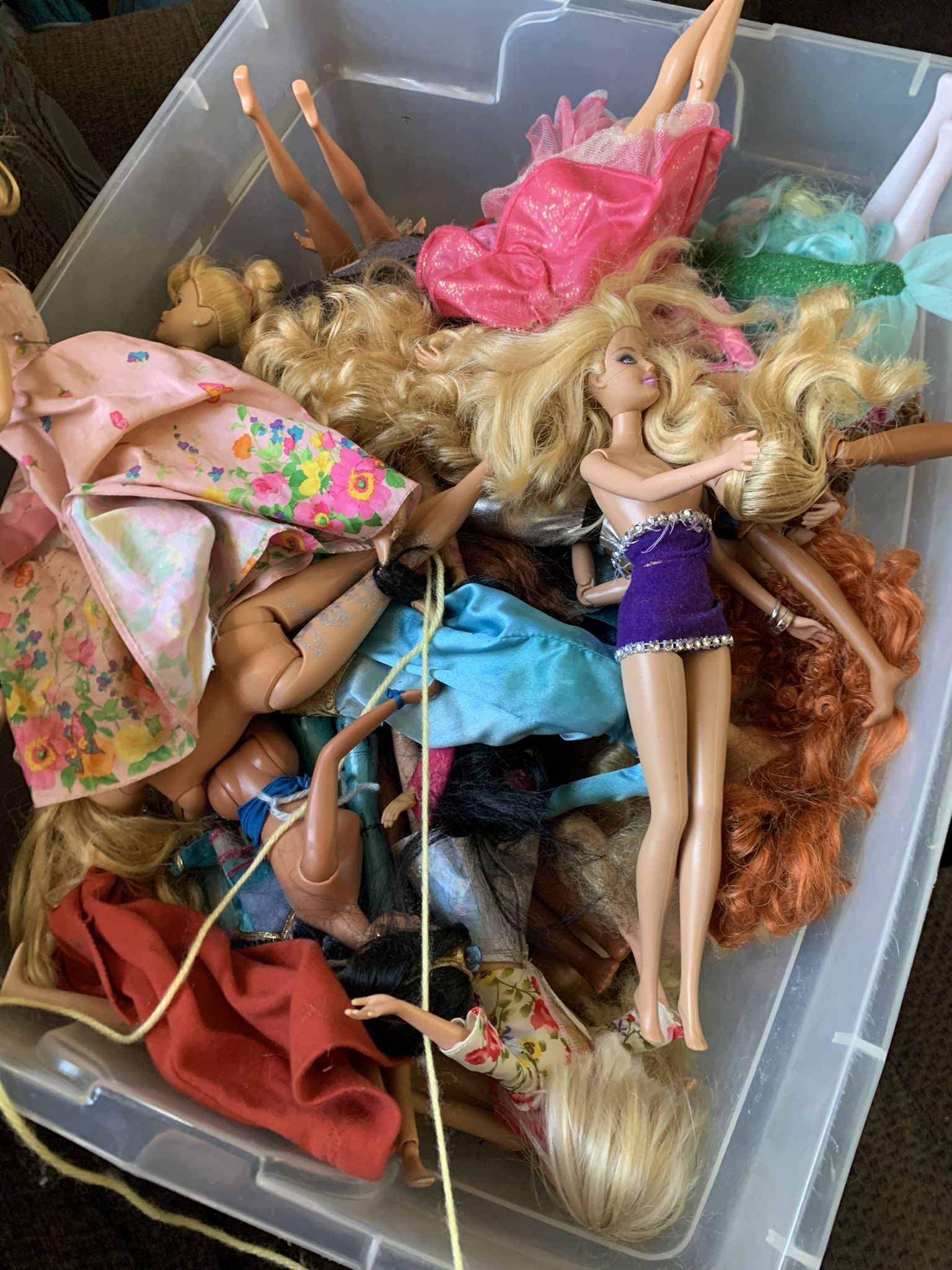 $5 Dolls