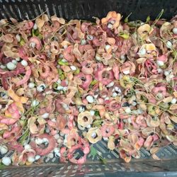 Guamuchiles 1lb