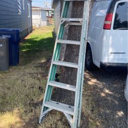6 Ft Ladder