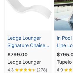 In Pool Ledge Lounger (2) $100 Each
