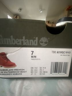 Toddler Timberland Shoes