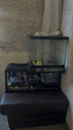 Reptile Tanks