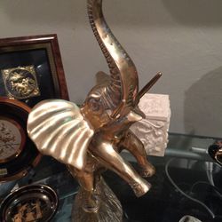 Brass baby elephant statue 14"