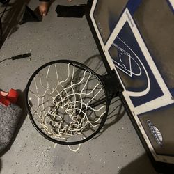 Shatterproof  Basketball Hoop