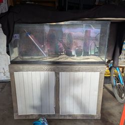 55 gallon Aquarium Fish Tank