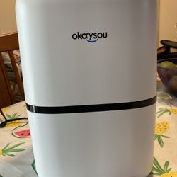 Okaysou Medical Grade Air Purifier