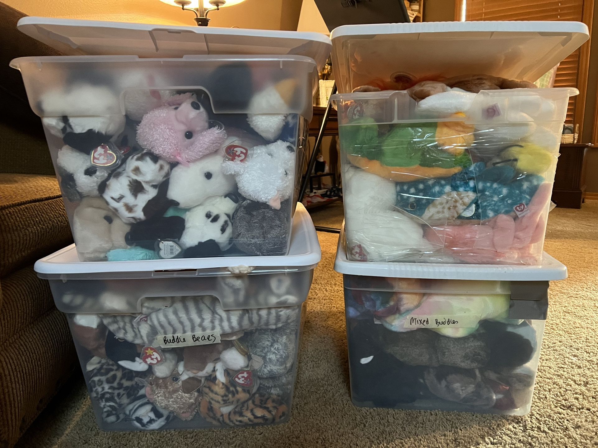 Beanie Babies (buddies)