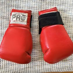 Boxing Gloves, Helmet, & Gym Equipment