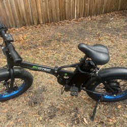 Ecotric Electric Bike