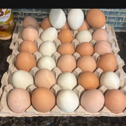 Free Range Chicken Eggs